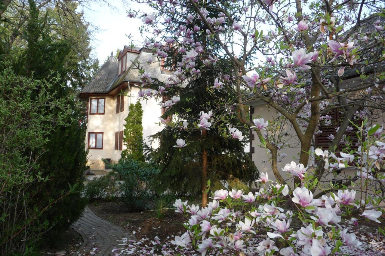 Balaton Art Guesthouse Balatonszárszó Exterior foto