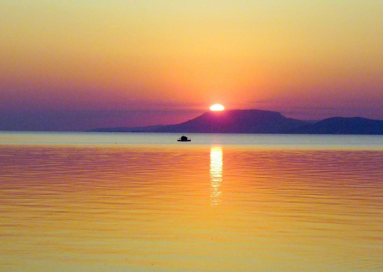 Balaton Art Guesthouse Balatonszárszó Exterior foto
